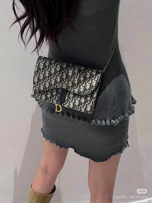 D111962可手包可斜挎帆布马鞍老花链条包 商品图3