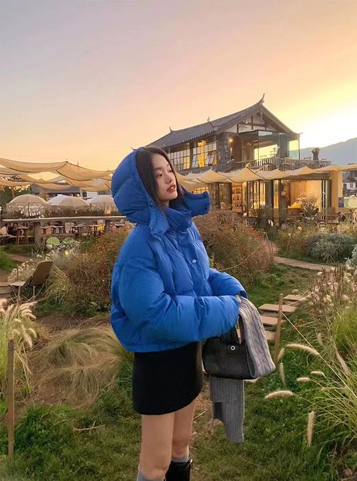 D111930冬季新款加厚羊毛毛呢半身裙显瘦气质a字裙 商品图5