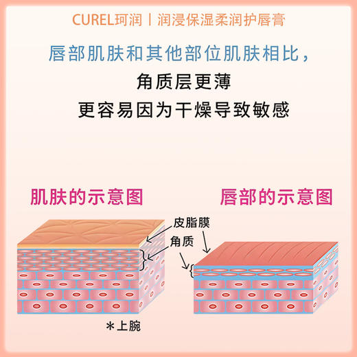 Curel珂润唇部护理霜 美肌裸色 4.2g 【BS】 商品图2
