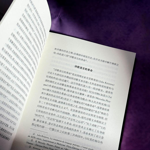 地图在动:现代诗的源流 商品图4