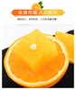 新鲜现摘赣南脐橙10斤装当季水果整箱包邮 商品缩略图1