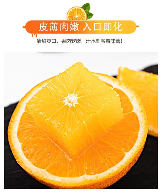 新鲜现摘赣南脐橙10斤装当季水果整箱包邮 商品图1