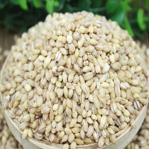 豫粮优选·五谷粮品小麦仁900g  精选麦仁 颗粒饱满 谷物清香 商品图2