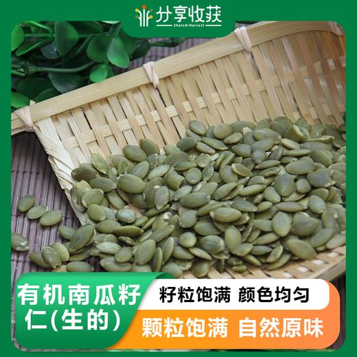 有机南瓜籽仁(生的） | 籽粒饱满 颜色均匀 | 公平贸易*Organic Pumpkin kernel 商品图0