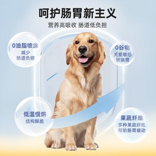 汪爸爸 烘焙全期全价犬粮2kg 商品图4
