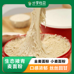 生态掖青麦面粉 全麦面粉 小麦面粉 | 两年收一次 能量独特 口感浓郁 丝丝回甘｜合作生产 * Ecological Yeqing Wheat Flour