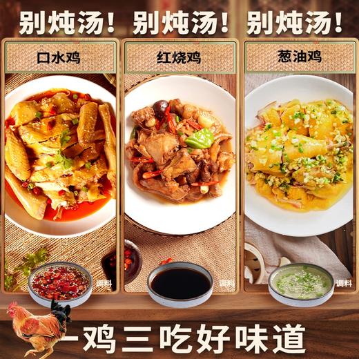 【杨博士自营】产品升级焕新 升级无抗土鸡 童子鸡1只+老母鸡(50型)1只 商品图3