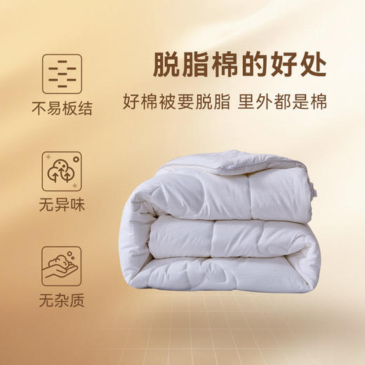 多喜爱 素原纯棉棉花加厚冬被203*229CM【全棉A类面料】【新疆脱脂棉填充】【蓬松柔然不板结】 商品图2