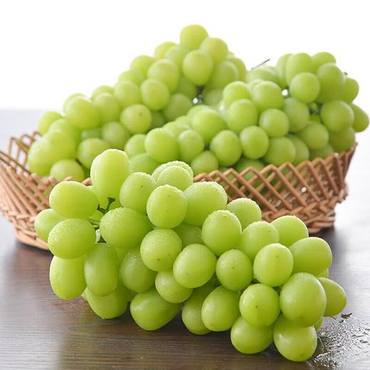 玫瑰香青提/份2kg 商品图0