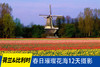 4.14确定出发【荷兰&比利时】春日璀璨花海12天摄影<环球寻梦> 商品缩略图0