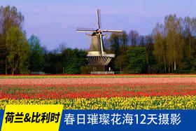 4.14确定出发【荷兰&比利时】春日璀璨花海12天摄影<环球寻梦>
