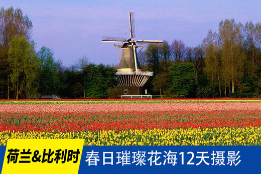 4.14确定出发【荷兰&比利时】春日璀璨花海12天摄影<环球寻梦> 商品图0
