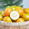 【滑皮金桔】产自广西融安，有名的“金桔之乡”，带皮吃的桔子，品质细腻清脆、甜度高而闻名 商品缩略图3