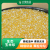 生态玉米珍 | 颗粒适中 煮粥尤佳 | 石嫣农场 * Ecological Corn Niblets 商品缩略图0