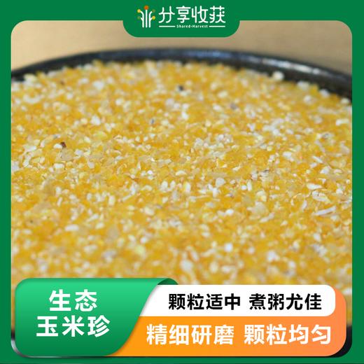 生态玉米珍 | 颗粒适中 煮粥尤佳 | 石嫣农场 * Ecological Corn Niblets 商品图0