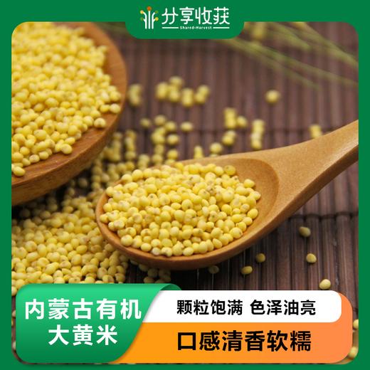 内蒙古有机大黄米 | 颗粒饱满 色泽油亮 口感清香软糯 | 公平贸易 * Inner Mongolia Organic Yellow Millet 商品图0