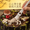 侏罗纪公园儿童0卡糖奶油生日蛋糕 | FALANC CAKE 商品缩略图1