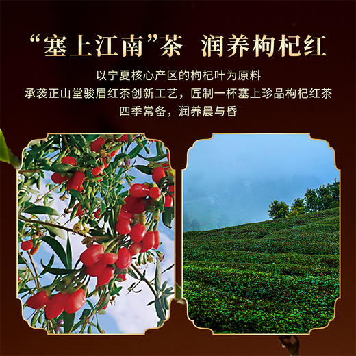 正山堂宁夏枸杞红茶礼盒装配伍武夷高香红茶正宗枸杞叶茶叶100g/180g 商品图4