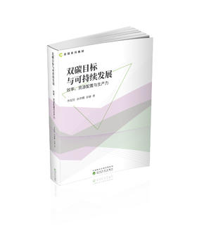 双碳目标与可持续发展:效率、资源配置与生产力