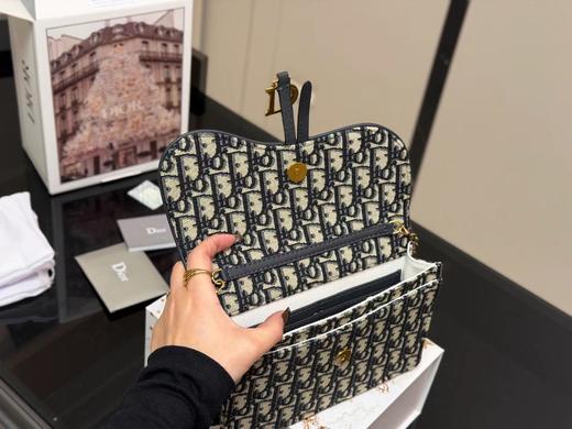 D111962可手包可斜挎帆布马鞍老花链条包 商品图11