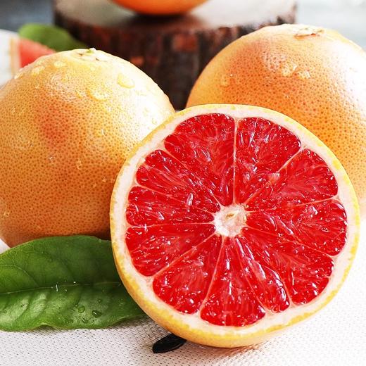 福建红心西柚 现摘现发红肉爆汁 当季自然成熟水果 商品图6