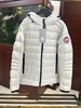 D111971轻盈保暖柔软排骨款90白鸭绒羽绒服 商品缩略图3