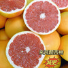 福建红心西柚 现摘现发红肉爆汁 当季自然成熟水果 商品缩略图1
