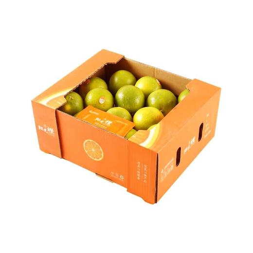 放心阳光橙2.5kg/件 商品图0