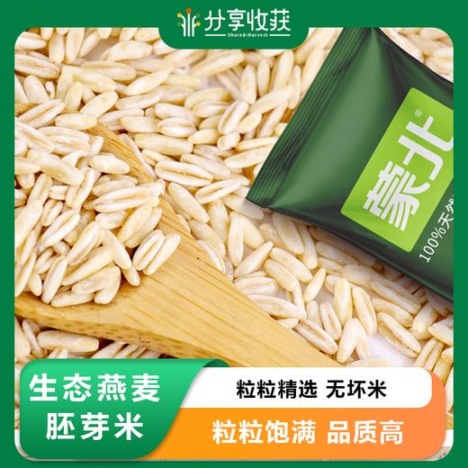 生态燕麦胚芽米 | 口感Q弹 | 公平贸易 * Oat Meters | Fair Trade 商品图0