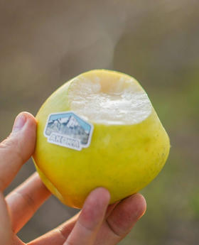 ‼️福利：糖斑果🧧脆爽香甜｜秋冈ᴿ喀什·雪山瑞雪⛰️