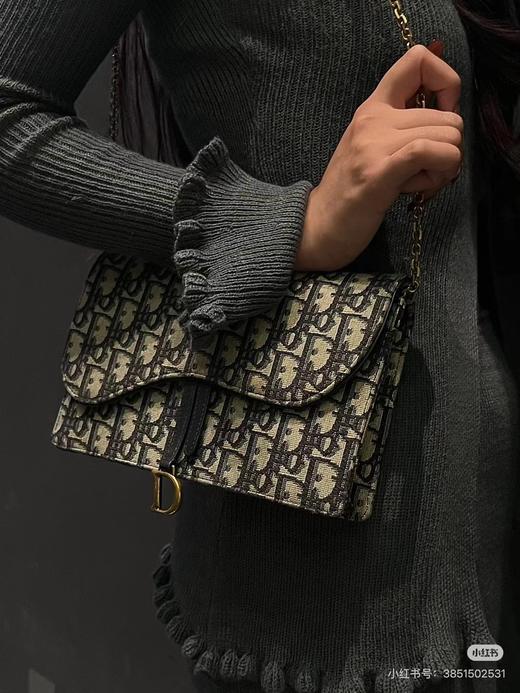 D111962可手包可斜挎帆布马鞍老花链条包 商品图4