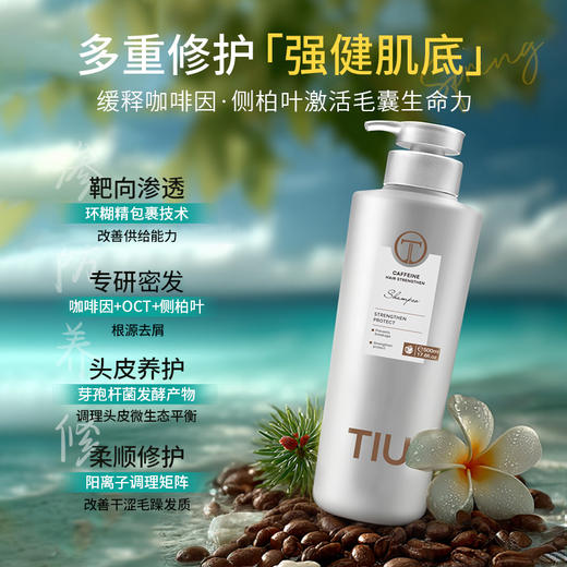 “125年专业护理专家”TIU 红没药醇去屑止痒/咖啡因强根健发洗发水 加拿大原装进口 温和清洁 柔顺修护 500ml/瓶 商品图1