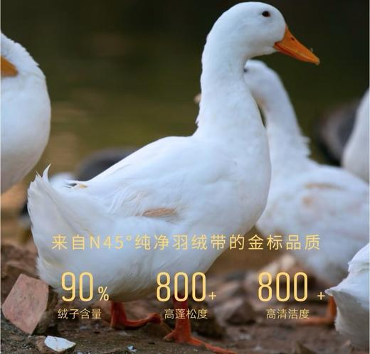 【多妈团购 鸭伯伯·轻盈无领夹克羽绒服AB866】90白鸭绒填充，轻柔、蓬松、柔软!!!比毛衣更保暖、轻盈!内搭保暖，外穿时尚-汉羽 商品图5