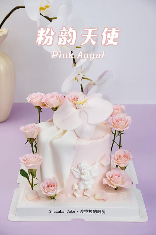 粉韵天使 商品图0