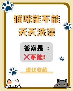 99%铲屎官都不知道猫咪频繁洗澡的危害