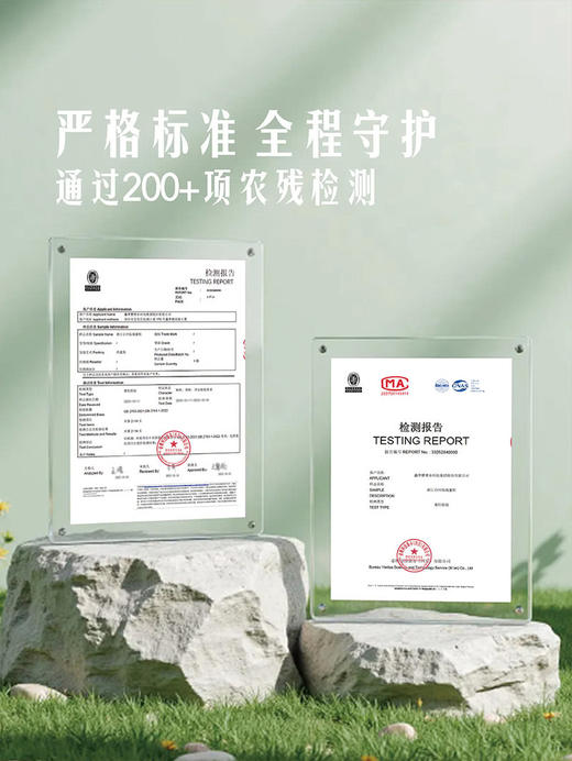 MM 山姆 临海蜜桔 2kg 商品图3