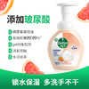 滴露泡沫抑菌洗手液西柚香型250ml 商品缩略图4