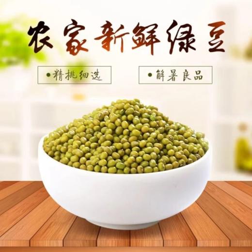 豫粮优选·五谷粮品绿豆900g  颗粒饱满 易煮出沙 商品图1