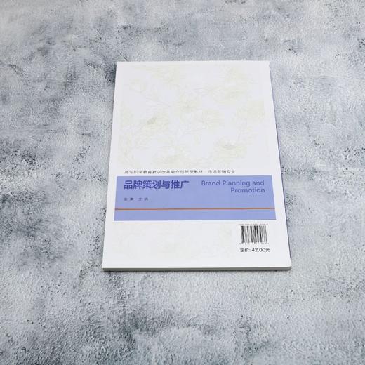 品牌策划与推广 商品图2