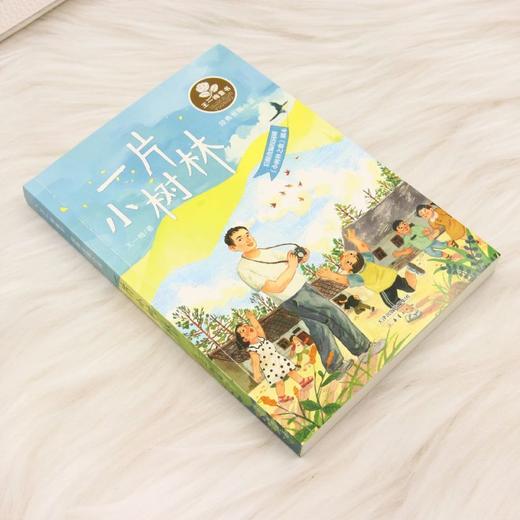 一片小树林 商品图1