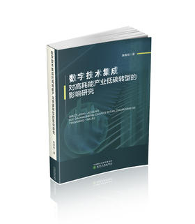 数字技术集成对高耗能产业低碳转型的影响研究