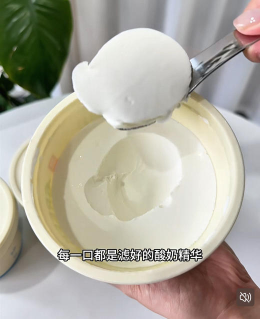 老米优品🎈15盒！低卡0糖减脂期最爱！乐纯轻盈系列  Lite希腊零蔗糖原味希腊式发酵乳  70g*15盒 商品图1