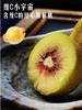 MM 山姆 即食红心猕猴桃 1.36kg 商品缩略图5