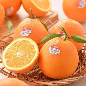 放心雷波脐橙礼盒5kg/件