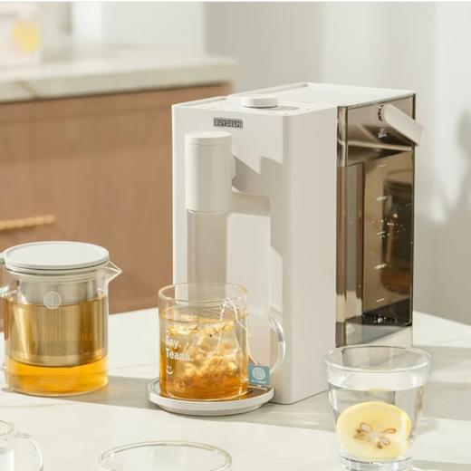 (包邮)北鼎DS95A/001水机 松露白(220V 2000W） 商品图0