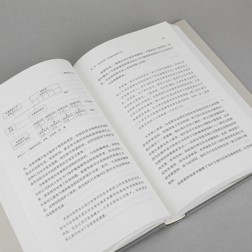 蛛网资本主义：全球精英如何从新兴市场攫取利益（理想国译丛074） 商品图9