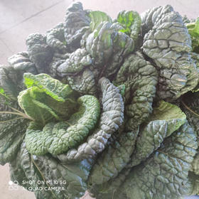 黄心乌（5.0元一斤）