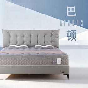 AF8803真皮床架