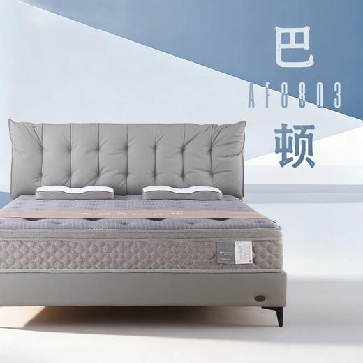 AF8803真皮床架 商品图0