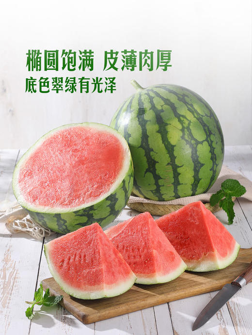 MM 山姆 美都西瓜 1个 商品图5